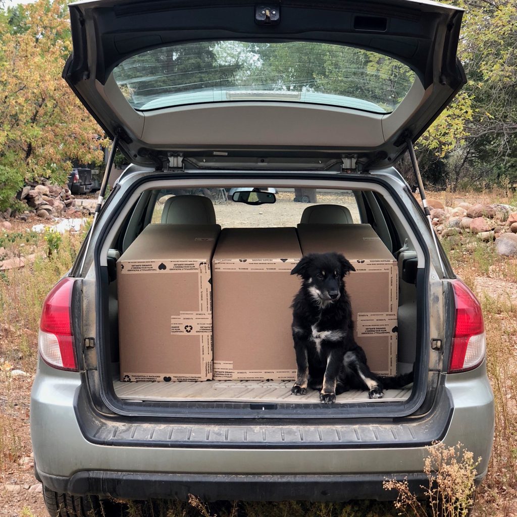 Beatrice Froms shipping to Early Supporters